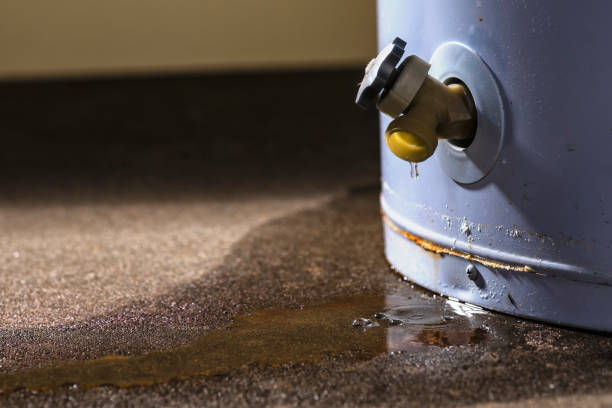 Best Local water damage restoration  in Tulare, CA