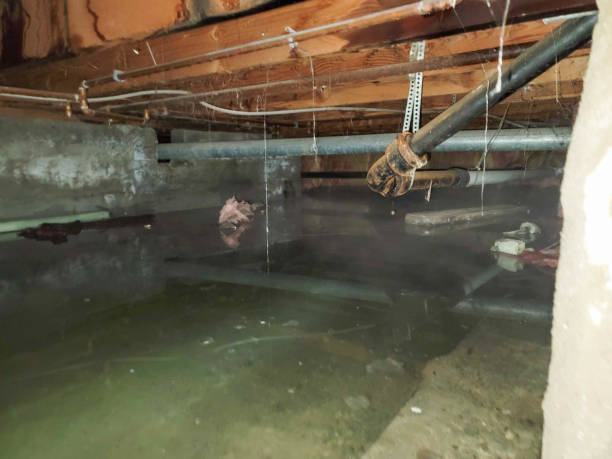 Best Basement water damage restoration  in Tulare, CA