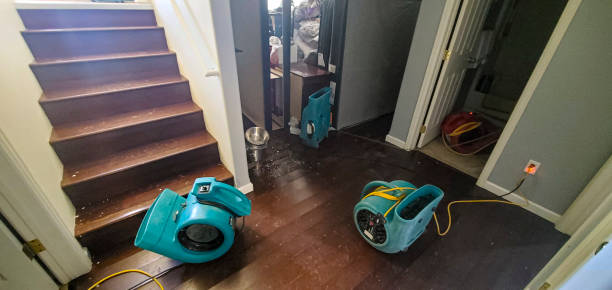 Best Basement water damage restoration  in Tulare, CA