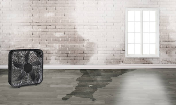 Best Carpet water damage restoration  in Tulare, CA
