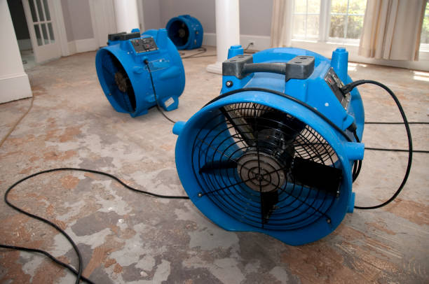 Best Water damage restoration near me  in Tulare, CA