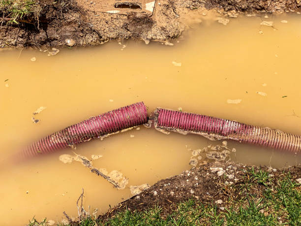 Best 24-hour water damage restoration  in Tulare, CA