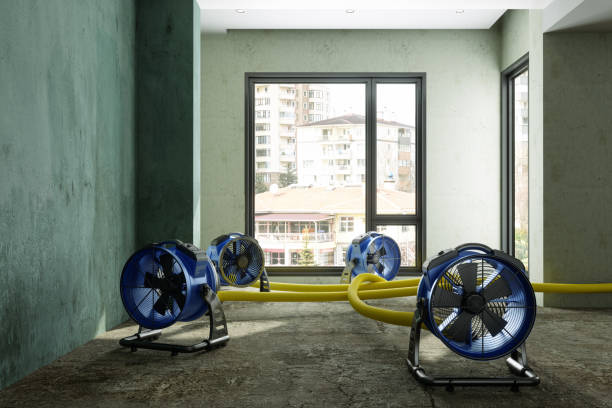 Best Sewage cleanup and water damage restoration  in Tulare, CA